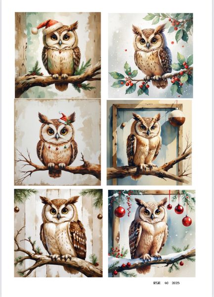 Hovedbilde Klippeark 40